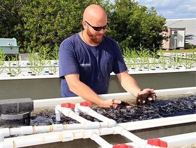 scientists using aquapark system